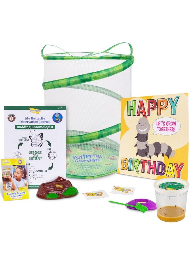 Insect Lore Birthday Butterfly Garden Butterfly Growing Kit With Live Caterpillars 5 Caterpillars Reusable Habitat Stem Butterfly Journal Birthday Card & More - Image 1