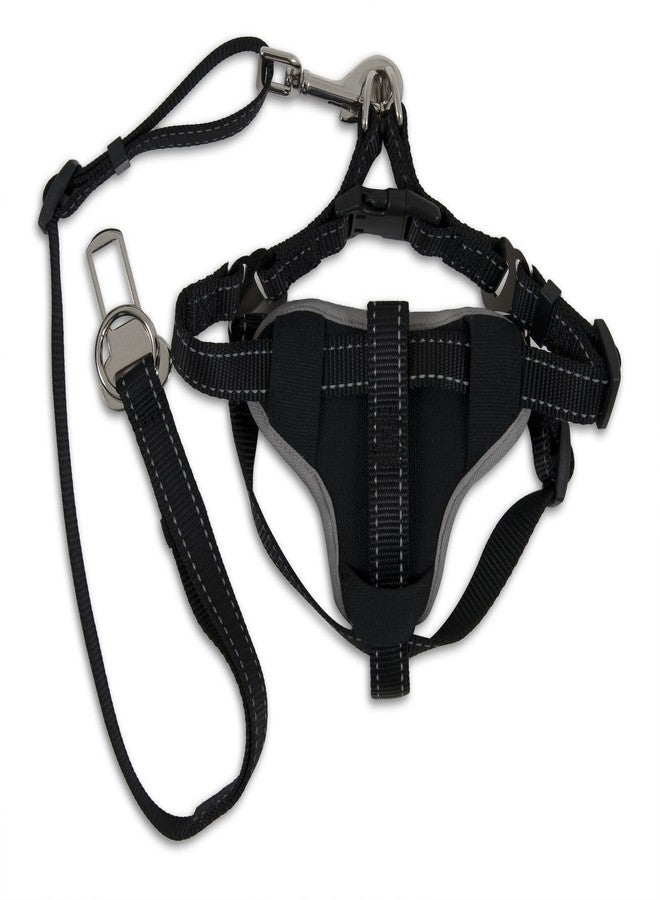 Petmate 11478 The Ultimate Travel Harness for Pets, Large, Black - Image 1