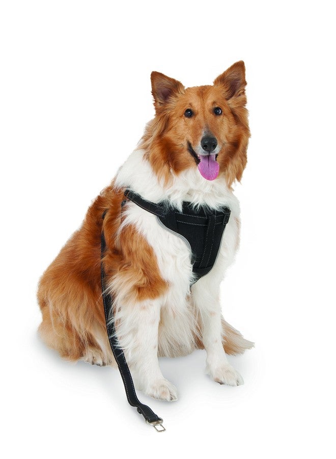 Petmate 11478 The Ultimate Travel Harness for Pets, Large, Black - Image 2
