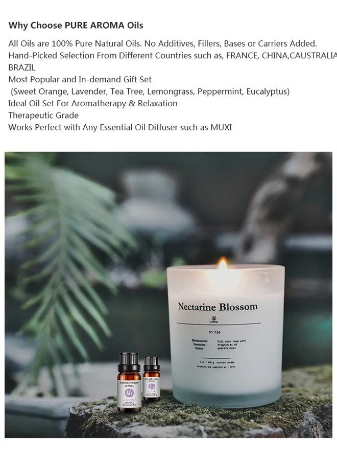 6 bottles of aromatherapy essential oils multi-scented and multi-color gift set plant aromatherapy  - Image 4