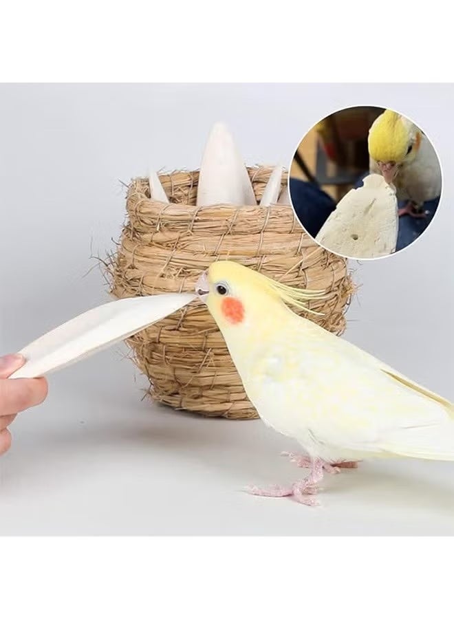 قطعتان من عظم الحبار الطبيعي غني بالكالسيوم للطيور - Image 2