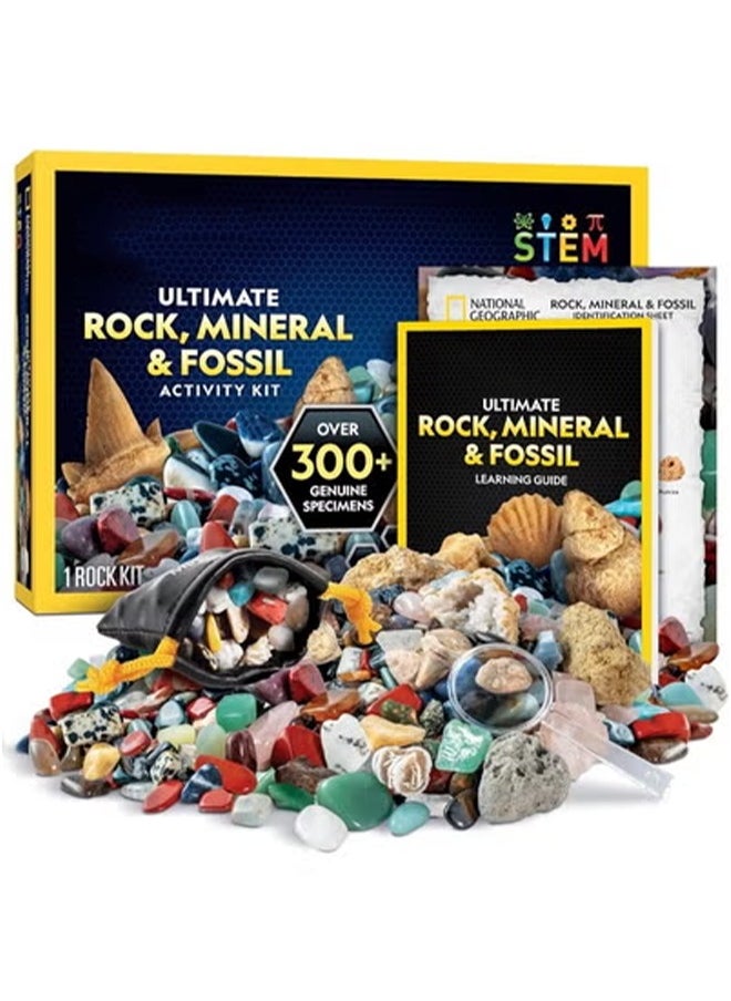 Rocks And Fossils Kit 300+ Piece Set Gift For Kids  - Image 4