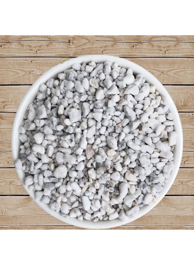 بيرلايت بركاني طبيعي ممتد للزواحف 160 جرام - Image 1