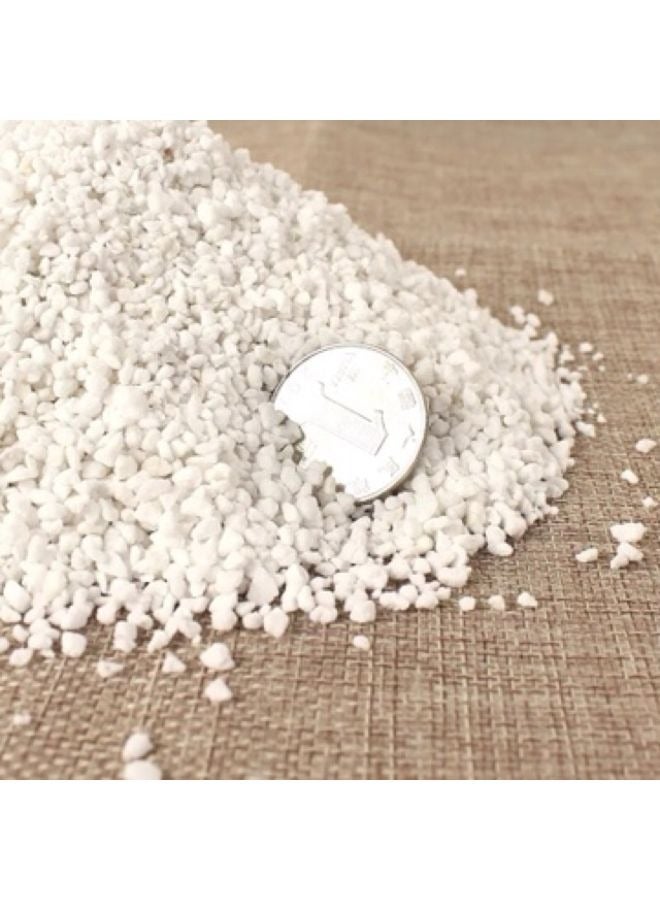 بيرلايت بركاني طبيعي ممتد للزواحف 160 جرام - Image 3