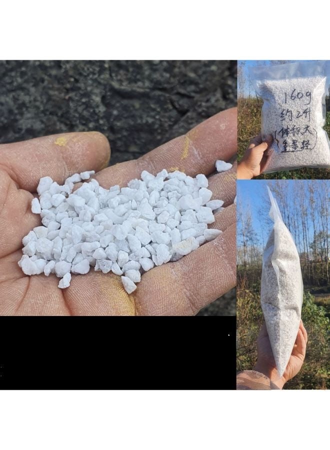 بيرلايت بركاني طبيعي ممتد للزواحف 160 جرام - Image 4