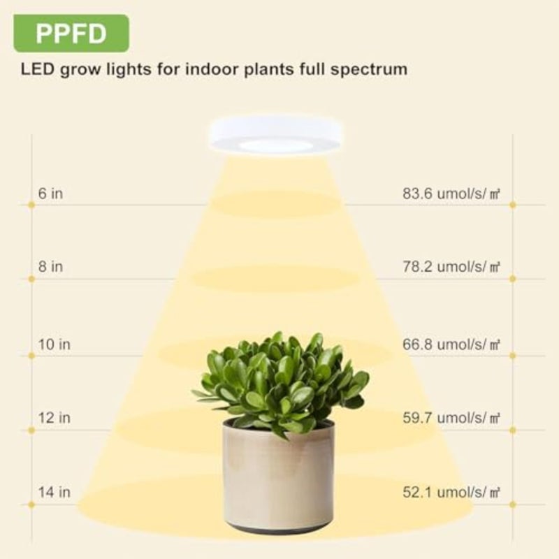 Bukela 4 PCS Grow Light - Full Spectrum Plant Lights for Indoor Growing 3/9/12H Timer 3 Color Modes 10 Brightness Levels Height Adjustable Halo Design 3.5 in White - Image 2