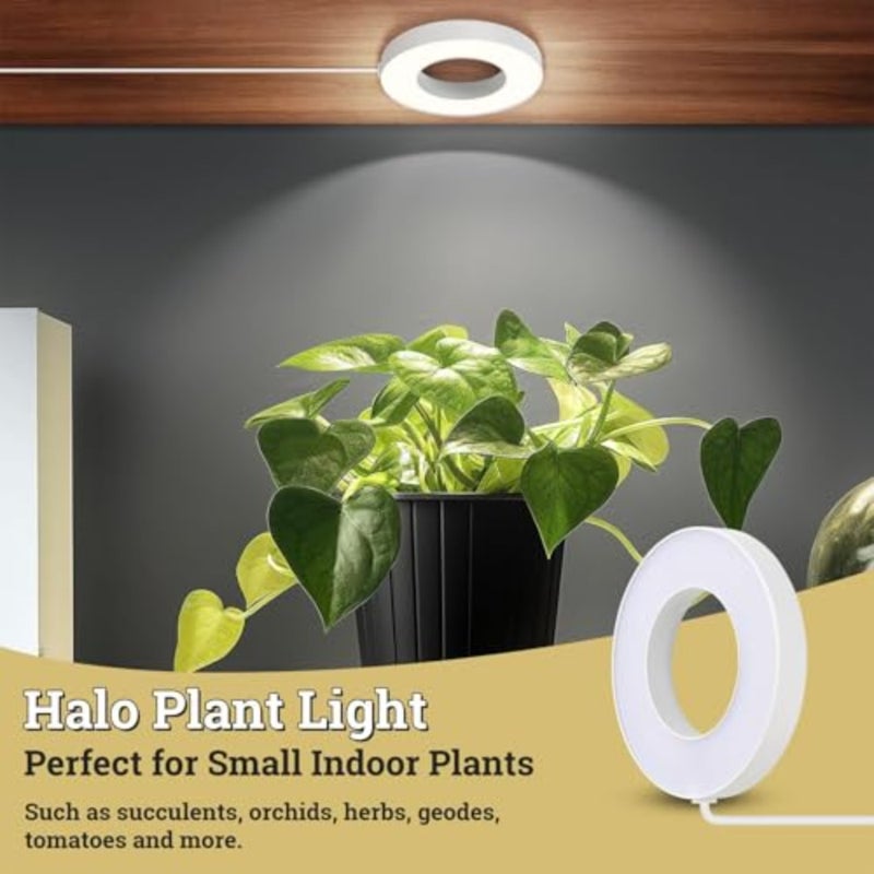 Bukela 4 PCS Grow Light - Full Spectrum Plant Lights for Indoor Growing 3/9/12H Timer 3 Color Modes 10 Brightness Levels Height Adjustable Halo Design 3.5 in White - Image 4