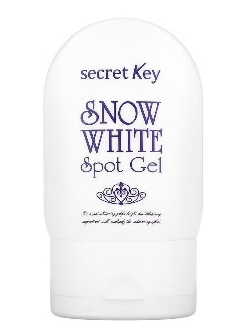 Secret Key Snow White Spot Gel 65ml