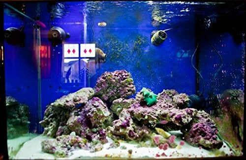 SOBO WP-800M Super Wave Macker Aquarium Fish Tank, Black - Image 2