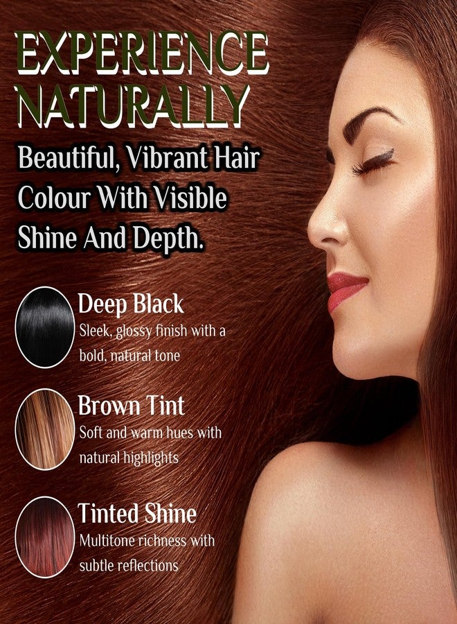 First Plant Organic Indigo Powder for Black Hair, Natural Herbal Hair Dye, Chemical-Free, 200 grams - Image 5