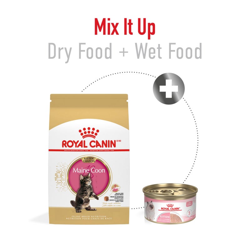 ROYAL CANIN طعام جاف للقطط من رويال كانين لتغذية سلالة ماين كون، 3 رطل - Image 4