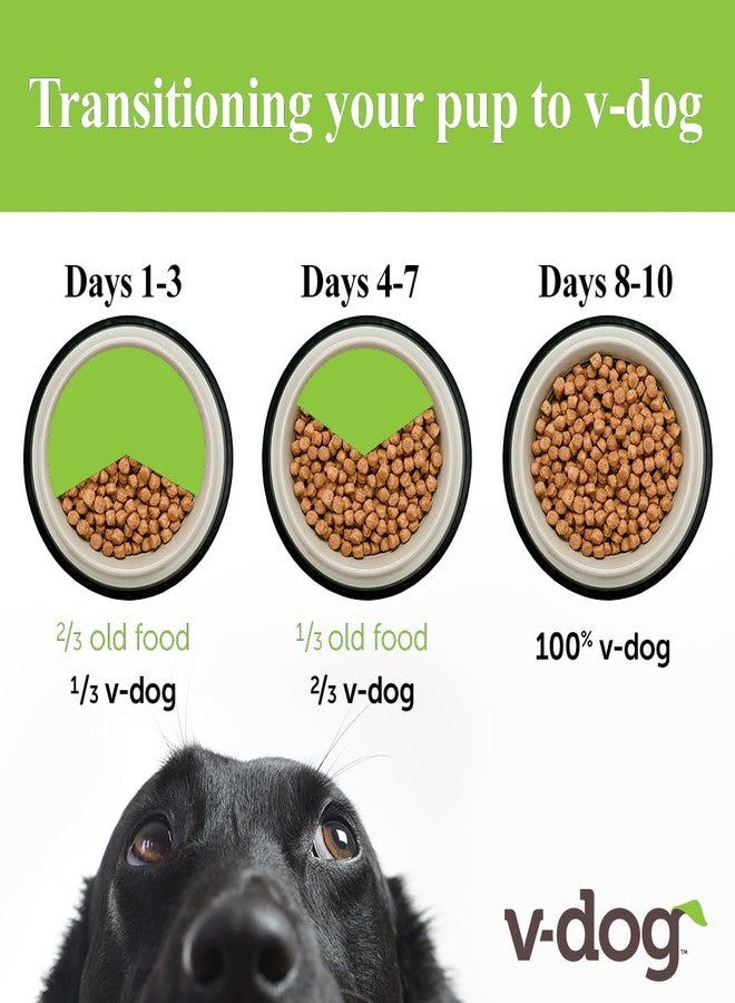 V-dog طعام الكلاب الجاف النباتي V-dog Mini Kibble (4.5 رطل) للكلاب الصغيرة | بروتين نباتي مع إضافة التورين للمعدة والجلد الحساسين | طبيعي بالكامل، صنع في الولايات المتحدة الأمريكية - Image 5