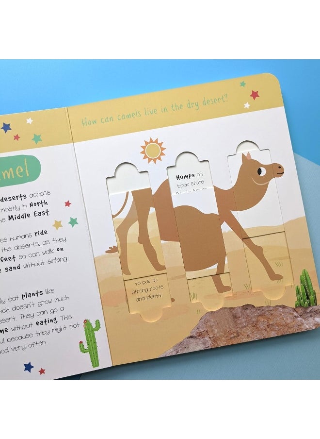Desert Animals: Who is Hiding in the Puzzle?  - Image 5