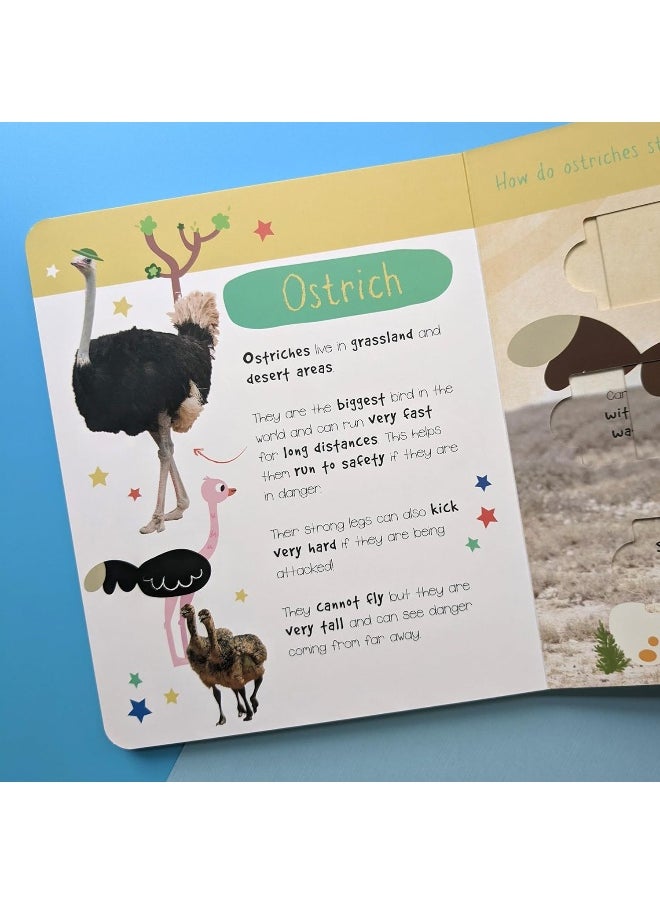 Desert Animals: Who is Hiding in the Puzzle?  - Image 3