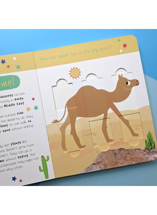 Desert Animals: Who is Hiding in the Puzzle?  - Image 4