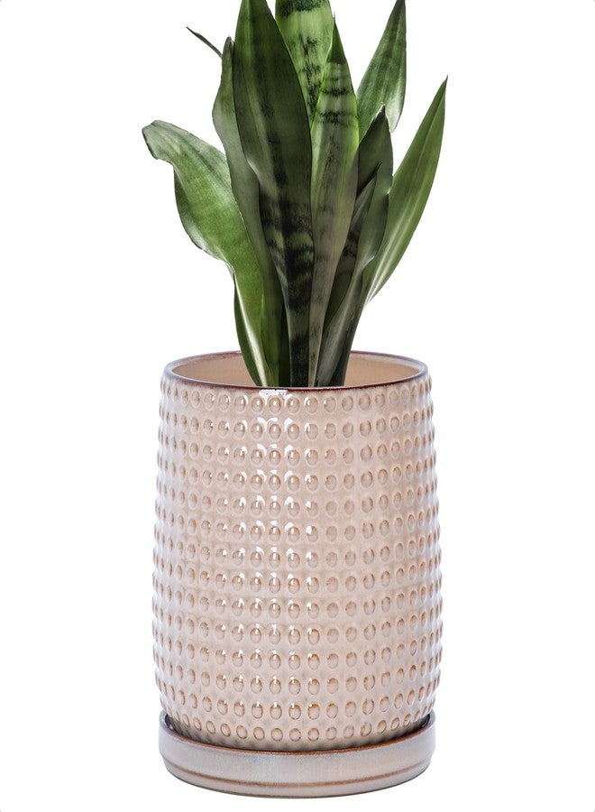 D'vine Dev 6 Inch Ceramic Beaded Stoneware Planter Pot - Flower Pot with Drainage Holes and Saucers for Indoor Succulent Plants or Flowers, Light Brown, 27-C-X-4 - Image 1