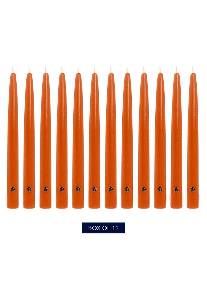 Colonial Candle Unscented Taper Candle, Handipt Collection, Pumpkin, 10 in, Pack of 12 - Up to 8 Hours Burn - Image 2
