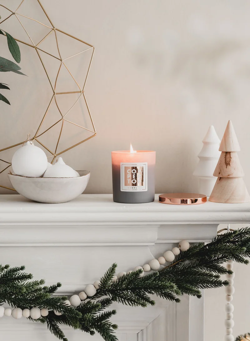 Coppertop Candles CHRISTMAS- Winter Spice Aromatherapy Soy Wax Candle
