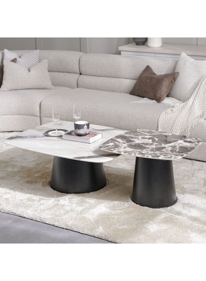 DANUBE HOME Solace Coffee Table + End Table Set - Marble - Image 1