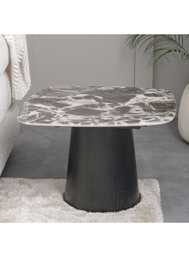 DANUBE HOME Solace Coffee Table + End Table Set - Marble - Image 4