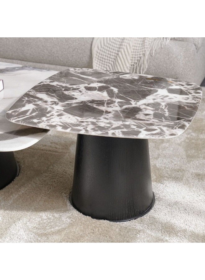 DANUBE HOME Solace Coffee Table + End Table Set - Marble - Image 3