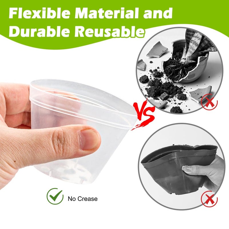 RooTrimmer 8 Cell Nursery Pot Trays 10 Pack (12"x6"x2") with 2.5 inch (6.5CM) Round Seedling Pots 80pcs (Clear), Plastic Seed Starter Tray with Removable Drain Holes for Carrying and Holding Plant Pot - Image 4