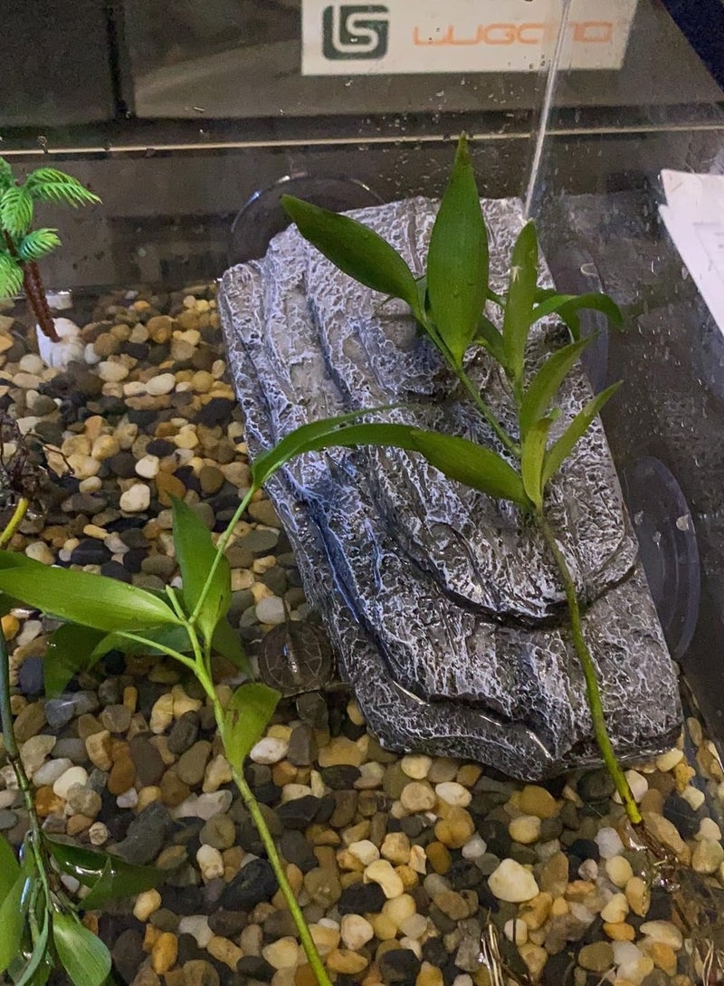 YZHZOM Turtle Basking Platform with Suction Cups, Floating Resting Terrace for Frogs, Terrapins and Tortoises - Image 4