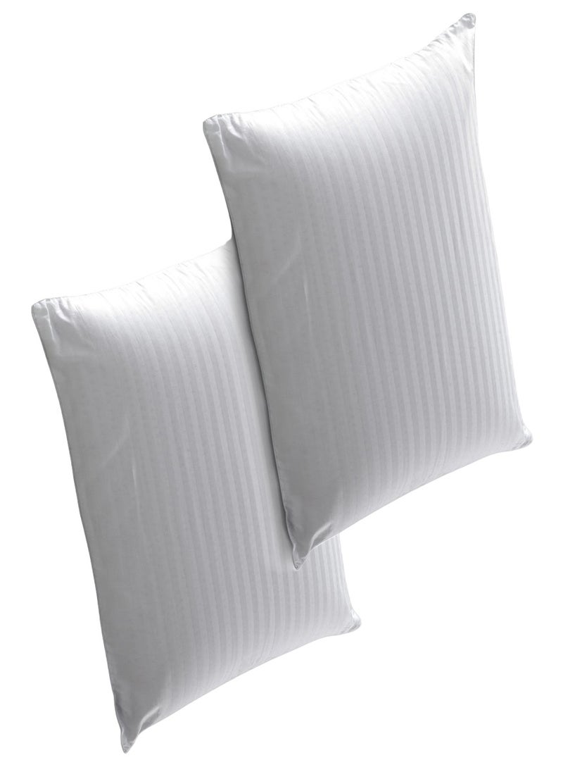 Blueberry 2 Piece Comfortable Stripe Hotel Pillow Microfiber 50x70cm Made in Uae - Image 1