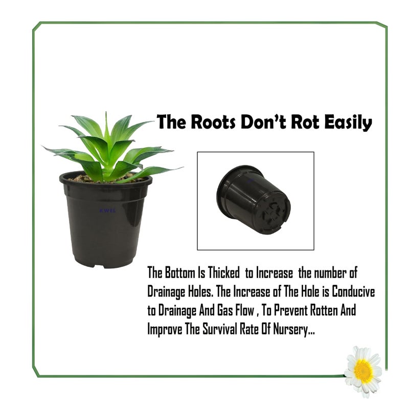 KWEL Nursery Pot 5-inch Plastic for Home Planters, Terrace, Garden Suitable for Home Indoor & Outdoor Gardening Plants Black Color (Pack of 12) - Image 4
