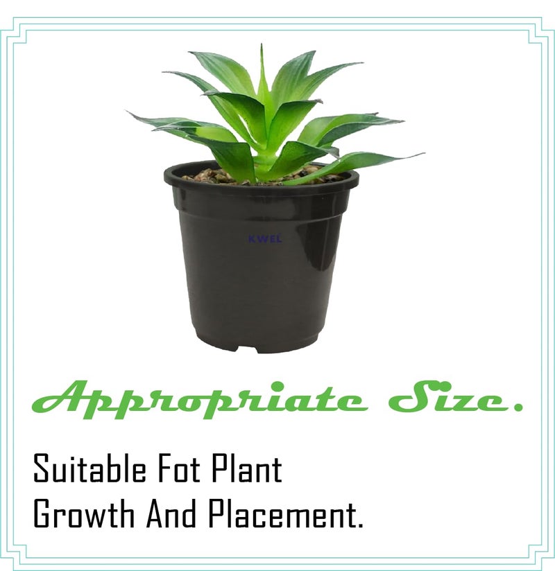 KWEL Nursery Pot 5-inch Plastic for Home Planters, Terrace, Garden Suitable for Home Indoor & Outdoor Gardening Plants Black Color (Pack of 12) - Image 3