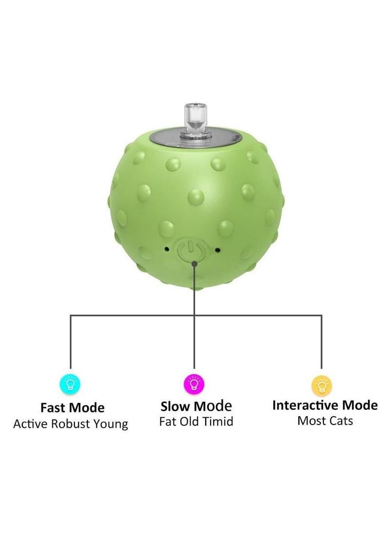 Roselyn Cat Toy | Moving Ball with Long Tail Teaser and Simulation of Bird Sound - Image 4