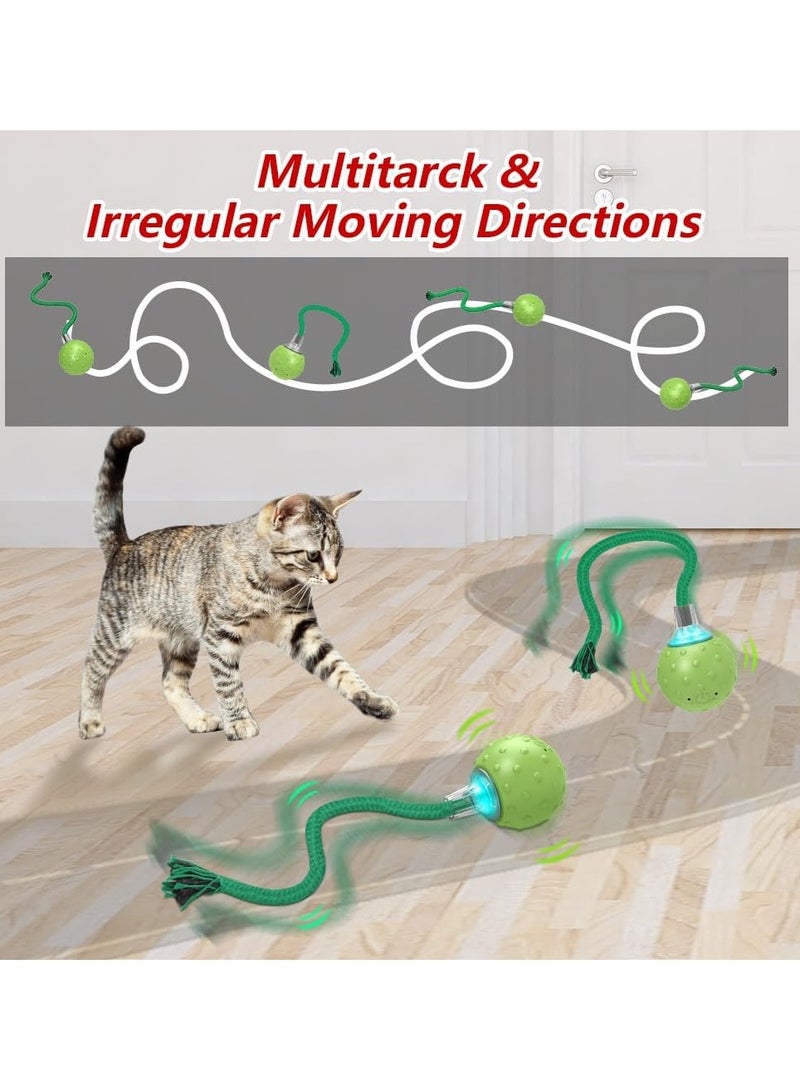 Roselyn Cat Toy | Moving Ball with Long Tail Teaser and Simulation of Bird Sound - Image 2