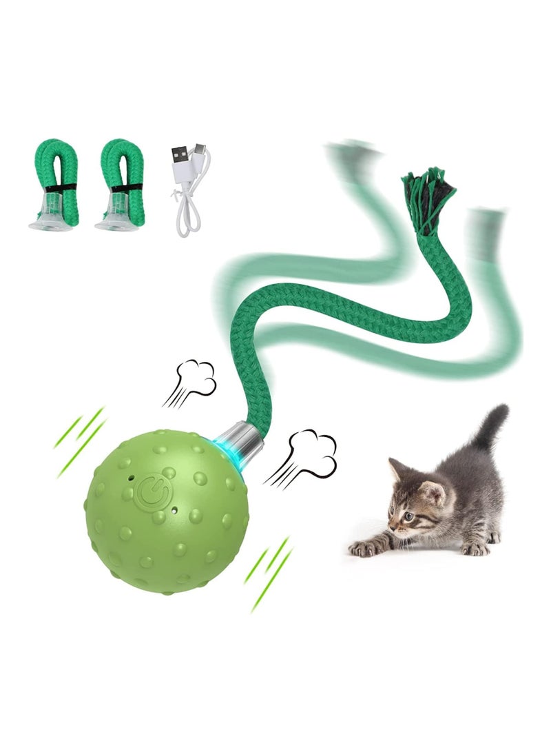 Roselyn Cat Toy | Moving Ball with Long Tail Teaser and Simulation of Bird Sound - Image 1