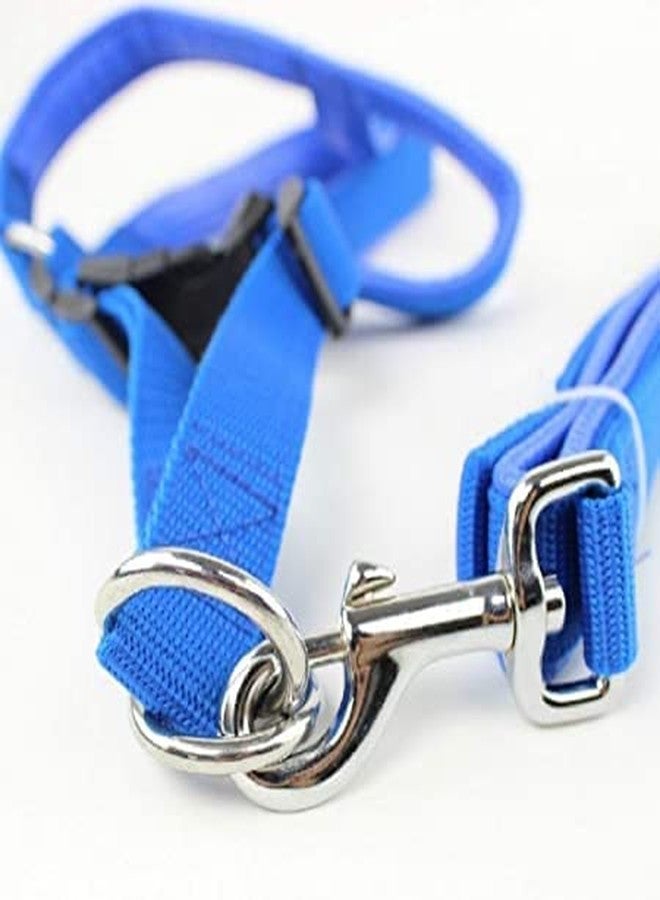 SUPER CHAIN Combo Dog Adjustable Chest Belt Body Harness with Leash for All Breed Dogs and Puppies (Blue) -Medium - Image 2