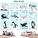 RCOMG 26pcs Arctic Animal Figurines Realistic Polar Animal Figures with Polar Bear Caribou Penguin Arctic Wolf Great for Easter Egg Gifts School Projects - Image 2
