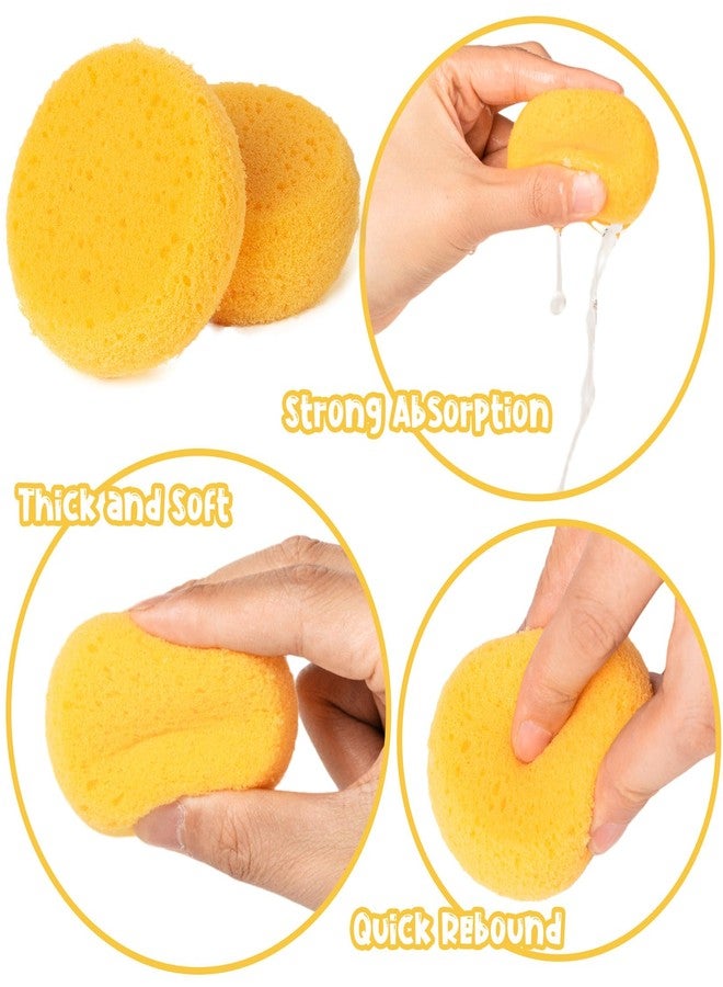 TORINALITAL 24Pcs Round Pottery Sponges, Round Artist Sponge, Pottery Sponges for Clay Leather Care Horse Tack Maintenance and Versatile Crafting - Image 3