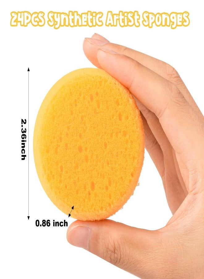 TORINALITAL 24Pcs Round Pottery Sponges, Round Artist Sponge, Pottery Sponges for Clay Leather Care Horse Tack Maintenance and Versatile Crafting - Image 2