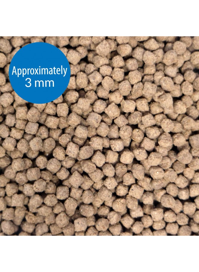 API BOTTOM FEEDER PELLETS WITH SHRIMP Fish Food 7.9-Ounce Container (Pack of 1) - Image 1