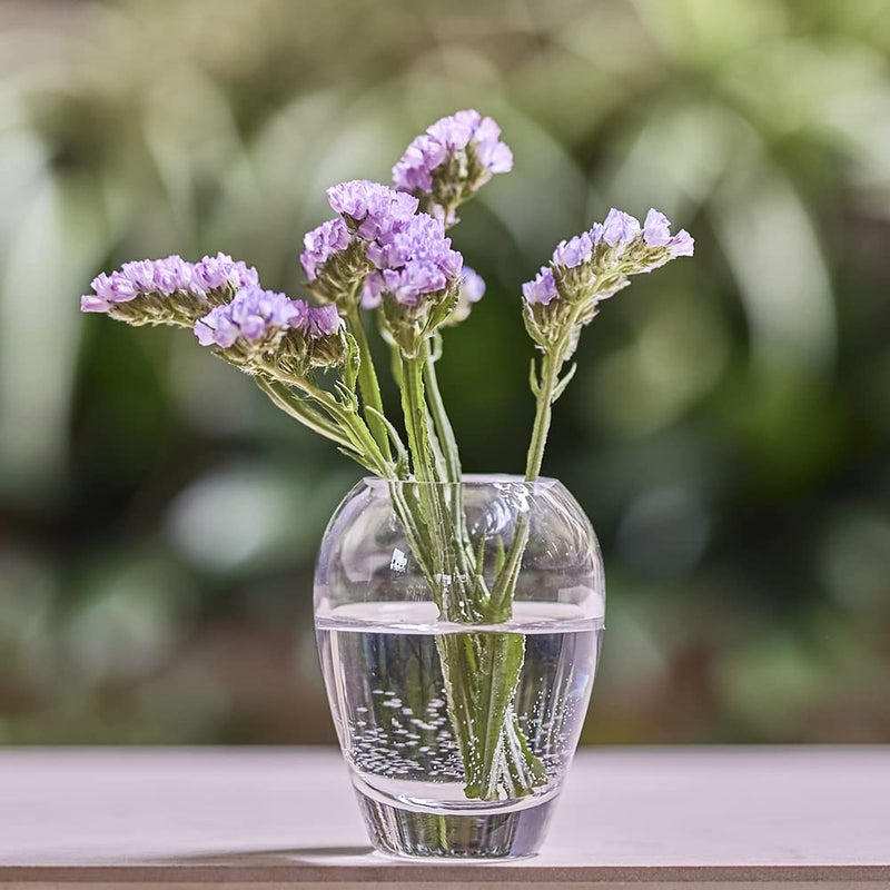 CHIVE â€˜Georgeâ€™ Glass Bottle Flower Vases â€” Set of 5 â€” Small, Elegant Clear Glass Bud Vases â€” Bulk Pack for Home Decor & Table Centerpieces â€” Assorted Shapes - Image 5