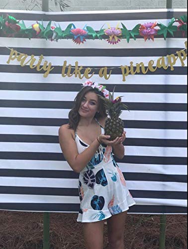 LeeSky Party Like A Pineapple Banner Tropical Pineapple Garland Banner Summer Pool Beach Banner for Tropical Hawaii Theme Birthday Party Supplies - Image 4