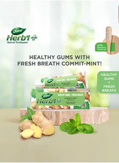 Dabur Ginger And Mint Toothpaste With Bamboo Toothbrush 150grams  - Image 2