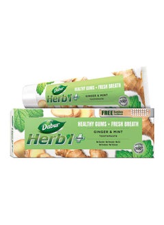Dabur Ginger And Mint Toothpaste With Bamboo Toothbrush 150grams  - Image 1