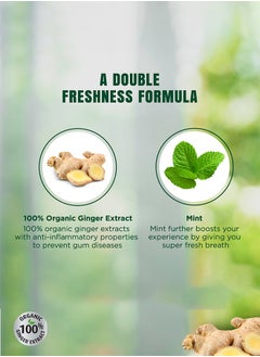 Dabur Ginger And Mint Toothpaste With Bamboo Toothbrush 150grams  - Image 4