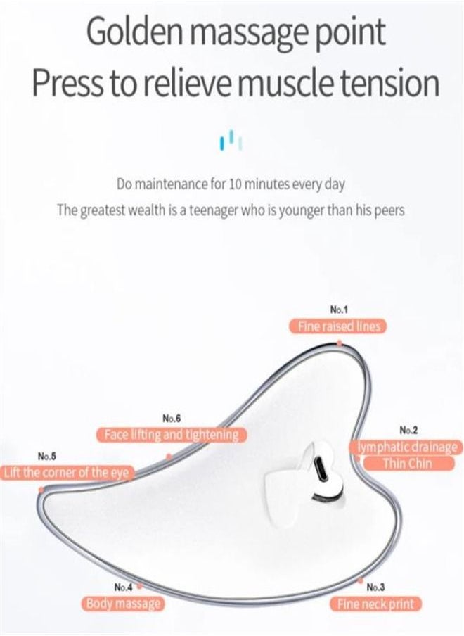 Generic - Electric facial massager, heating vibration beauty instrument slimming face massager - Image 1