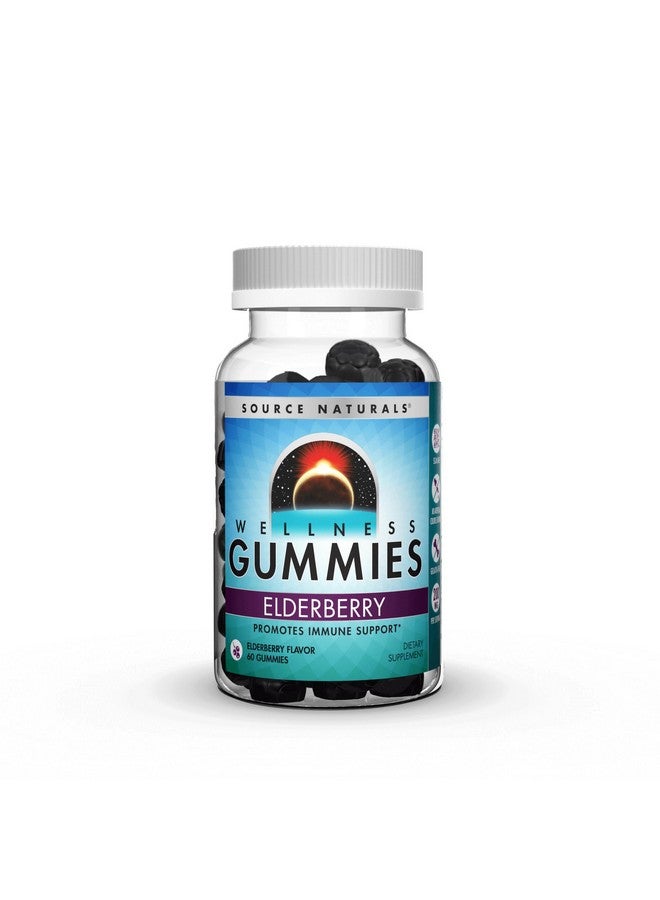 Source Naturals Wellness Elderberry Gummies, Promotes Immune Support*, 200 mg - Antioxidant Support - 60 Gummies - Image 1