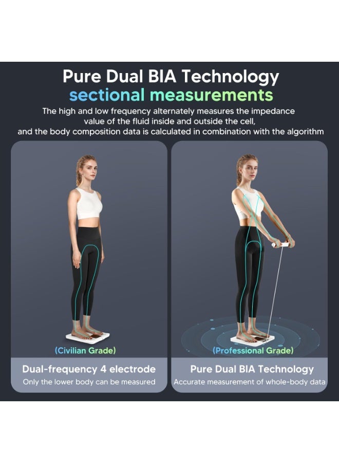 arboleaf Bluetooth Smart Digital Weighing Scale, 8-Electrode Full Body Composition Analyzer with 50+ Metrics & Large LED Display - Image 5