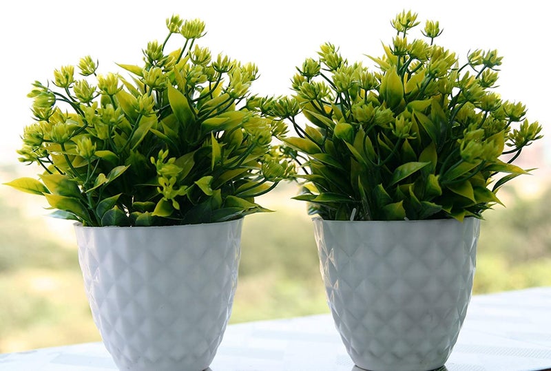 KE SUPER GOLDEN KE SUPER GOLDEN Bonsai Potted Artificial Plants with Pot for Home Office Living Room Balcony Garden Decoration Table Top Flower Plant with Vase Holder Set of 2  - Image 1