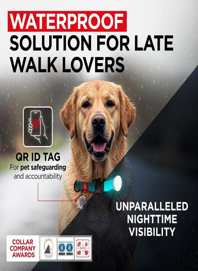 WAUDOG Waterproof Dog Collar - Adjustable Dog Collar with Air Holder and QR Dog Tag for Large Dogs, Small and Medium Dogs - Image 2