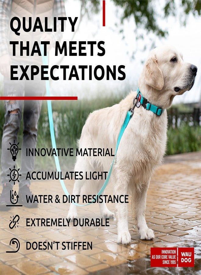 WAUDOG Waterproof Dog Collar - Adjustable Dog Collar with Air Holder and QR Dog Tag for Large Dogs, Small and Medium Dogs - Image 4