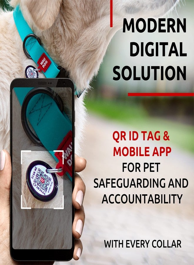 WAUDOG Waterproof Dog Collar - Adjustable Dog Collar with Air Holder and QR Dog Tag for Large Dogs, Small and Medium Dogs - Image 3